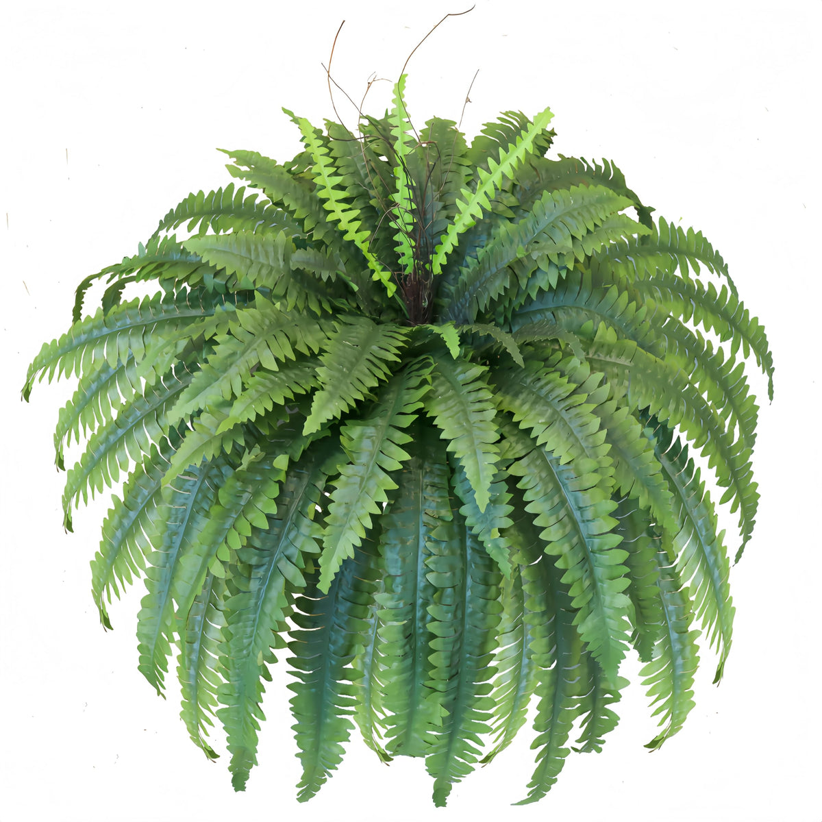 MILHAO FOREST artificial ferns outdoors — lifelike greenery for porches and entrances.