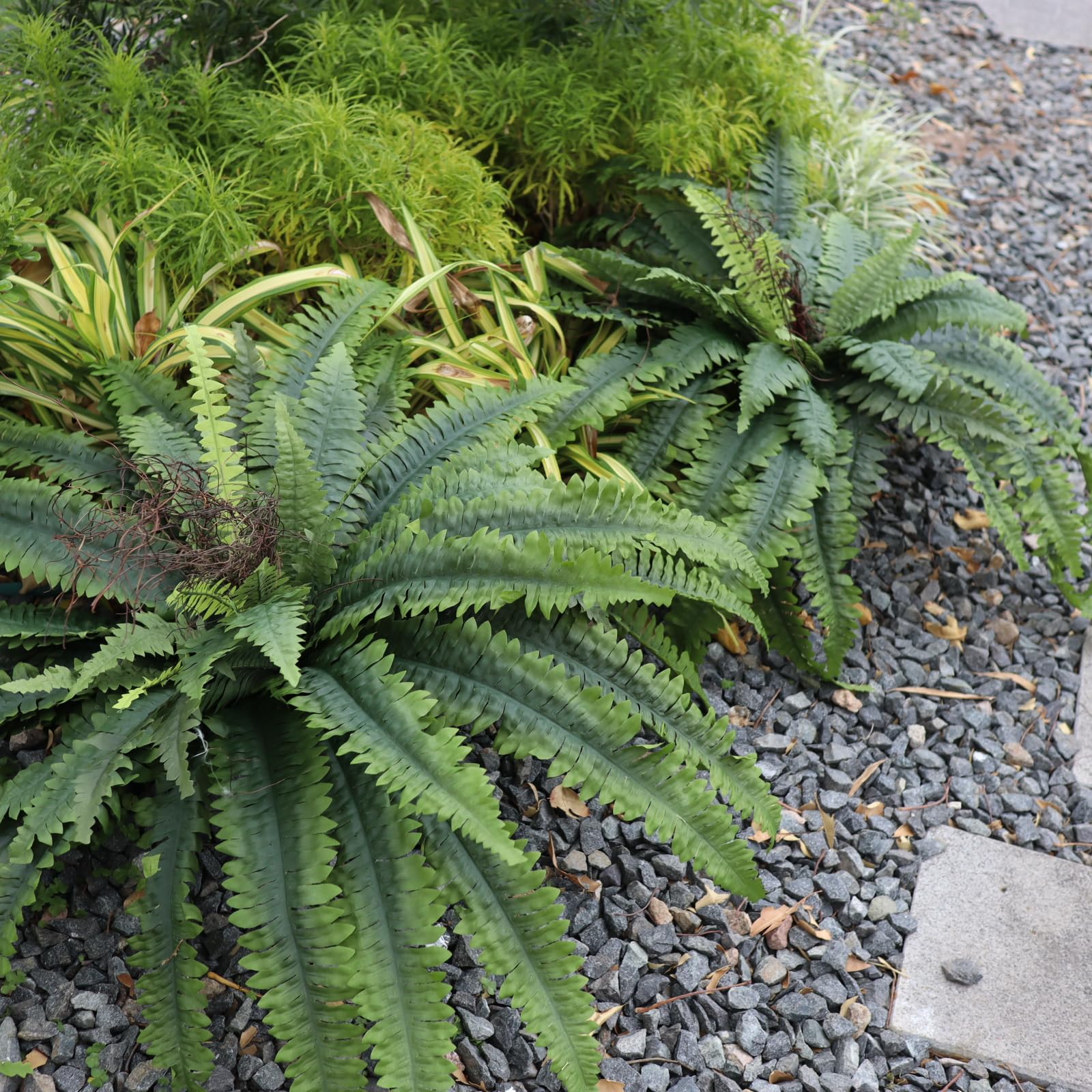 MILHAO FOREST porch greenery adds natural color year-round.