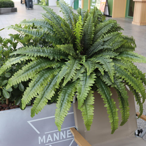 MILHAO FOREST varied green shades — authentic fern look from multiple angles.