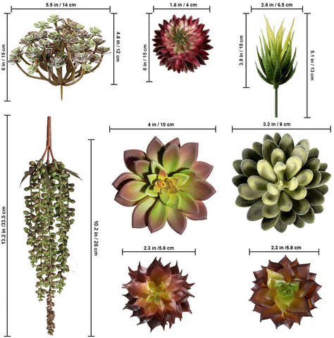 Miltonson DIY wreath-ready succulents simplify seasonal decorating projects.