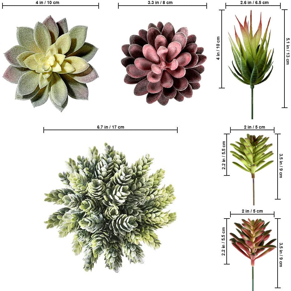 Miltonson mini-planter compatible succulents fit small spaces beautifully.