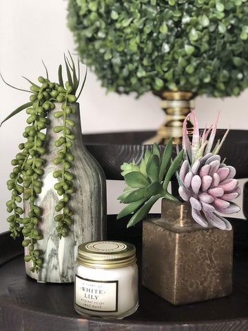 Miltonson no-odor artificial plants stay fresh-looking without watering.