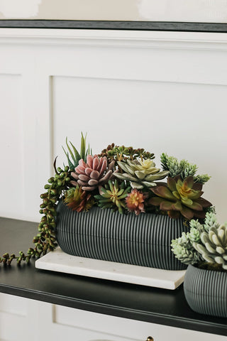 Miltonson realistic textured succulents collection adds natural charm to shelves.