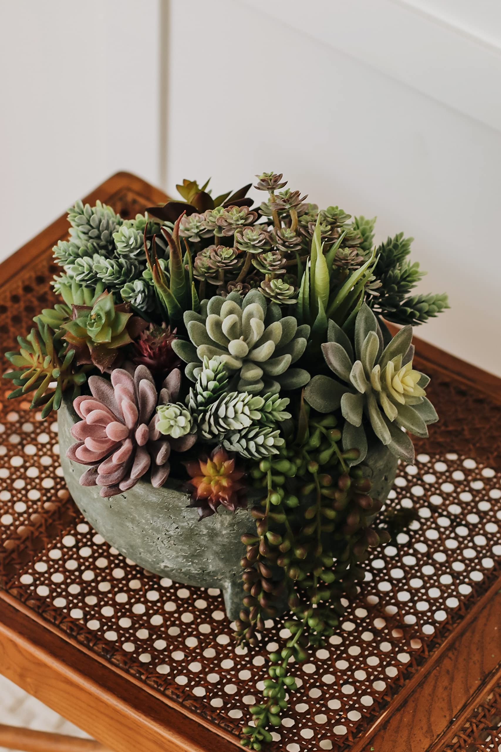 Miltonson unpotted face succulents with varied sizes for DIY displays.