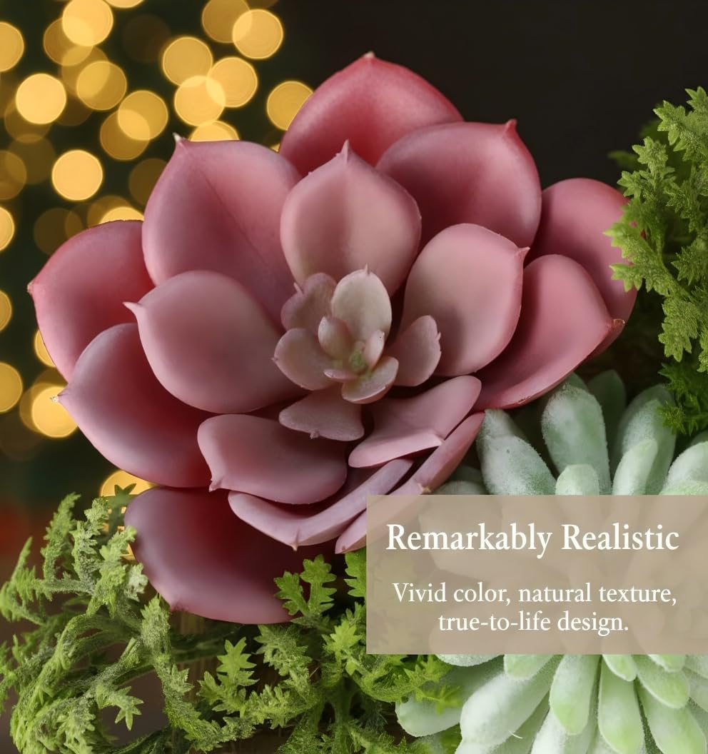 Mingfuxin three-pack succulents suit office decor with easy upkeep.