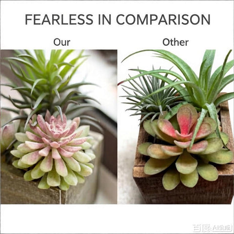 Mingfuxin wooden pot succulents complement coffee table arrangements.