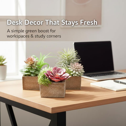 Mingfuxin mini plants in wood pots for desk or shelf decor.