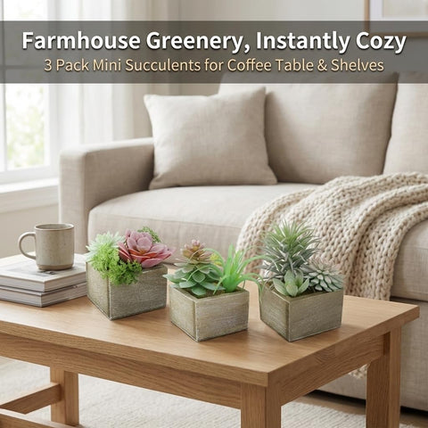 Mingfuxin wood-pot succulents add rustic warmth to living rooms or bathrooms.