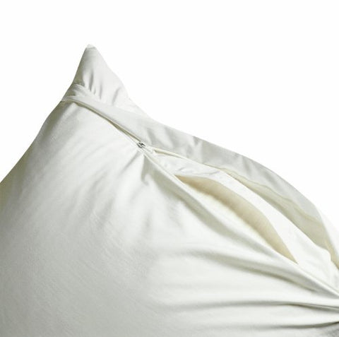 Mission: Allergy bedbug-proof encasing with flaps and zippers for secure protection.