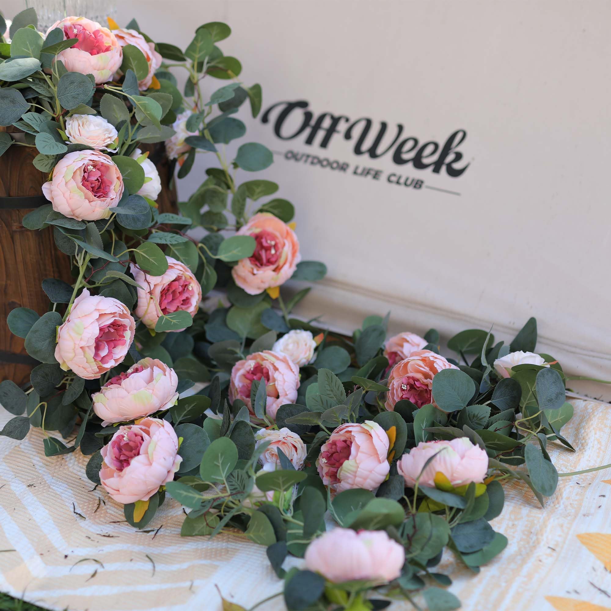 MISSPIN rose bloom on vine demonstrates soft petals and natural color gradient for centerpieces.