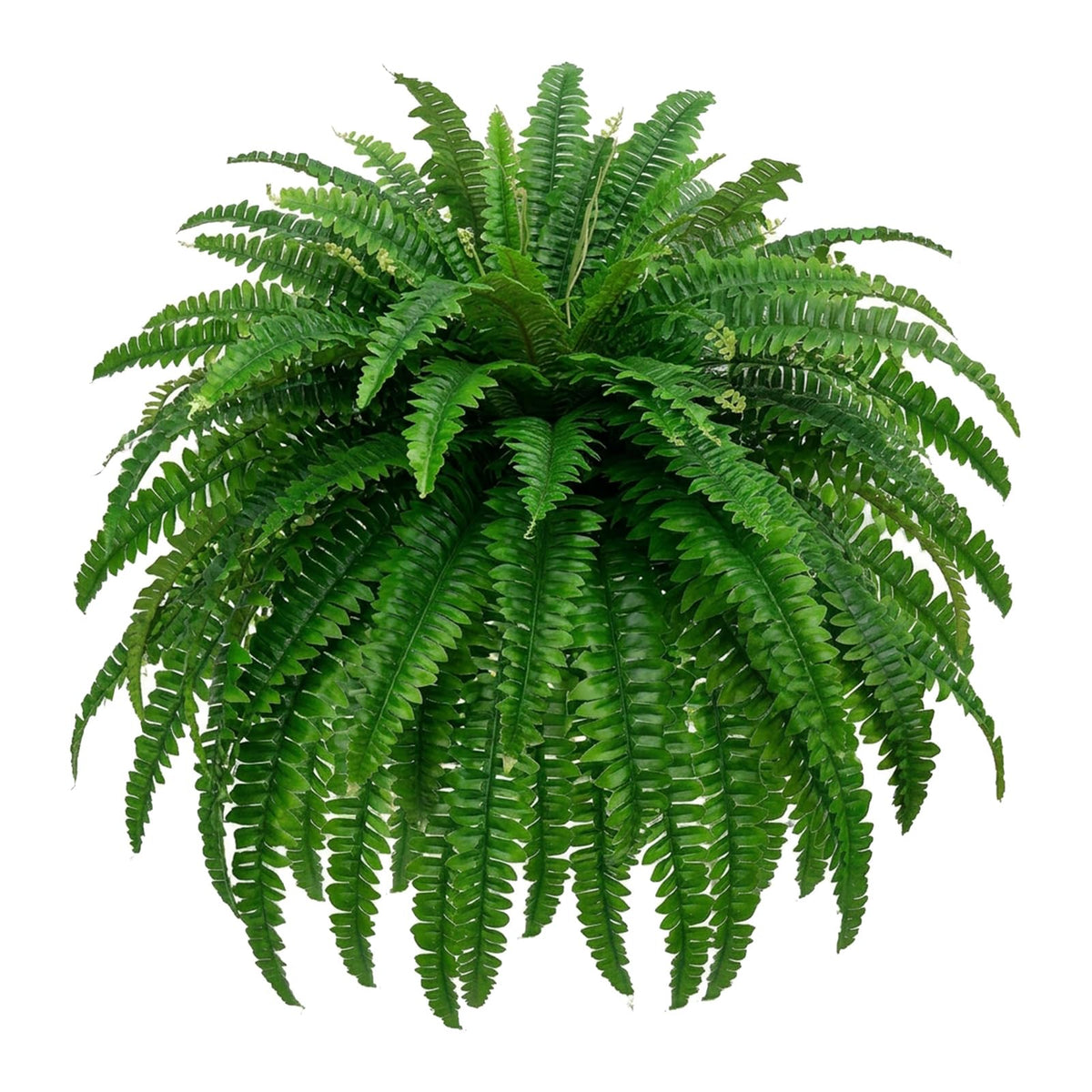 Miuyeah Miao GYERB 48in artificial Boston fern with lush silk fronds for evergreen decor