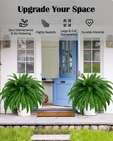 Miuyeah Miao GYERB outdoor fern resists sun and wind for patio appeal