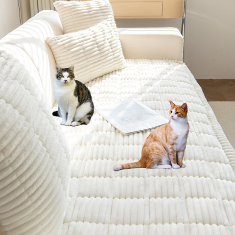 Mivnue cover on a sofa in a living room with a pet