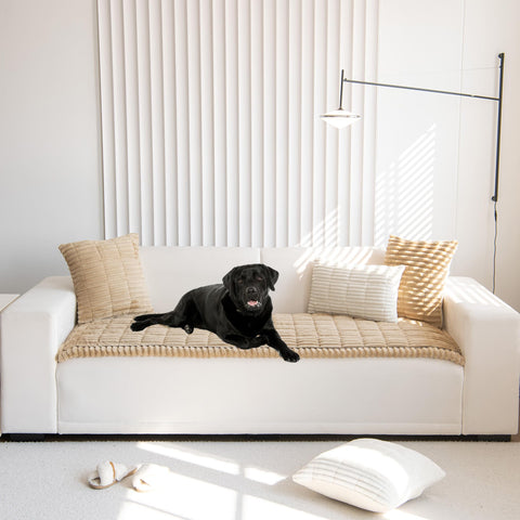 Mivnue washable dog sofa cover protecting furniture from dirt and pet hair.