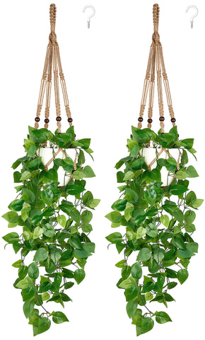 Mkono two-pack pothos hanging plant for easy indoor greenery.