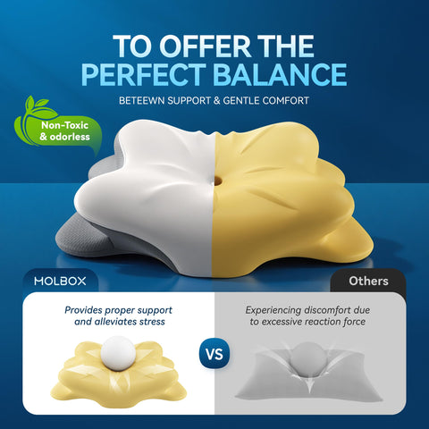 MOLBOX warranty card communicates six-month coverage and reliable support