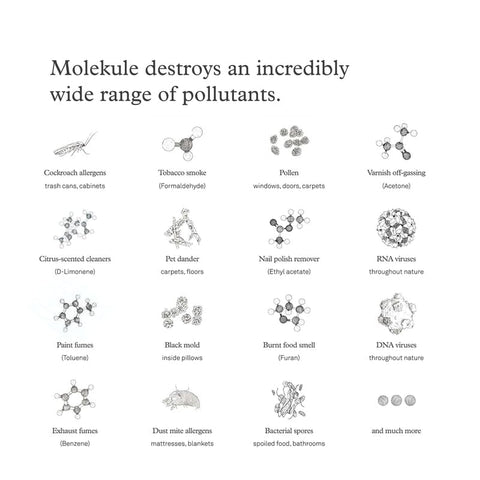 Molekule Air Pre-Filter packaging highlights product design and fit.