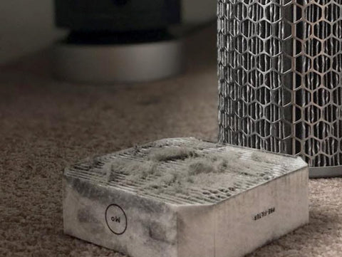 Molekule Air Pre-Filter 2-pack extends maintenance and replacement intervals.