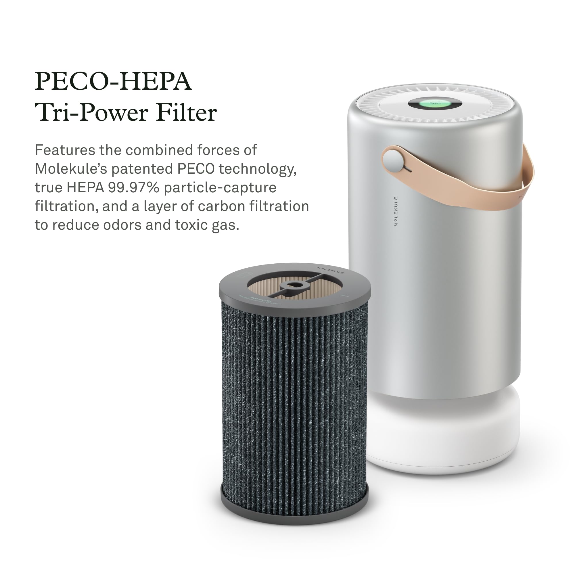 Molekule Air Pro with Tri-Power and carbon layer to reduce odors.