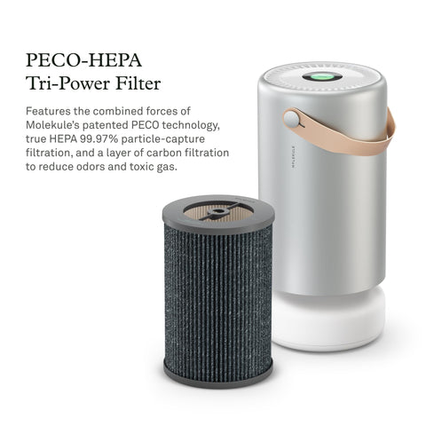 Molekule Air Pro with Tri-Power and carbon layer to reduce odors.
