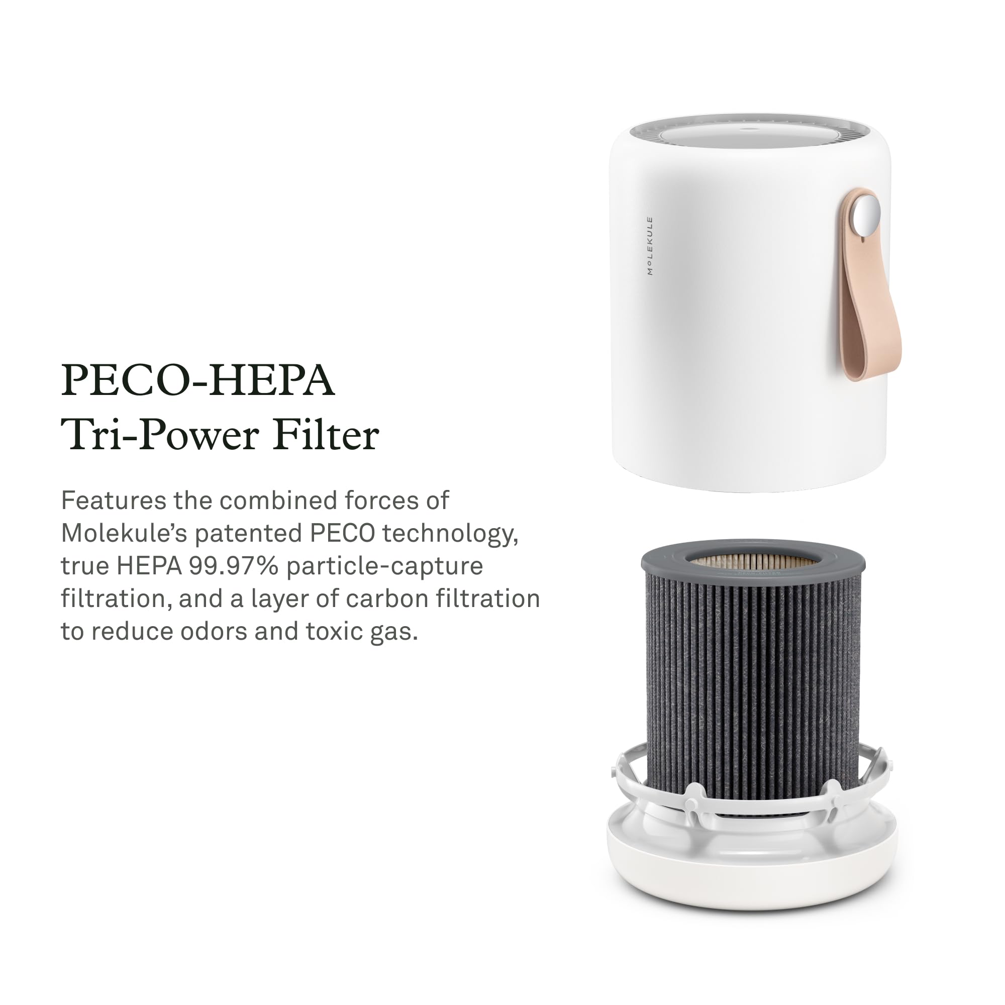 Molekule Mini long-life filter lasts up to six months for low-maintenance filtration.