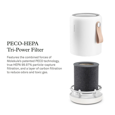 Molekule Mini long-life filter lasts up to six months for low-maintenance filtration.