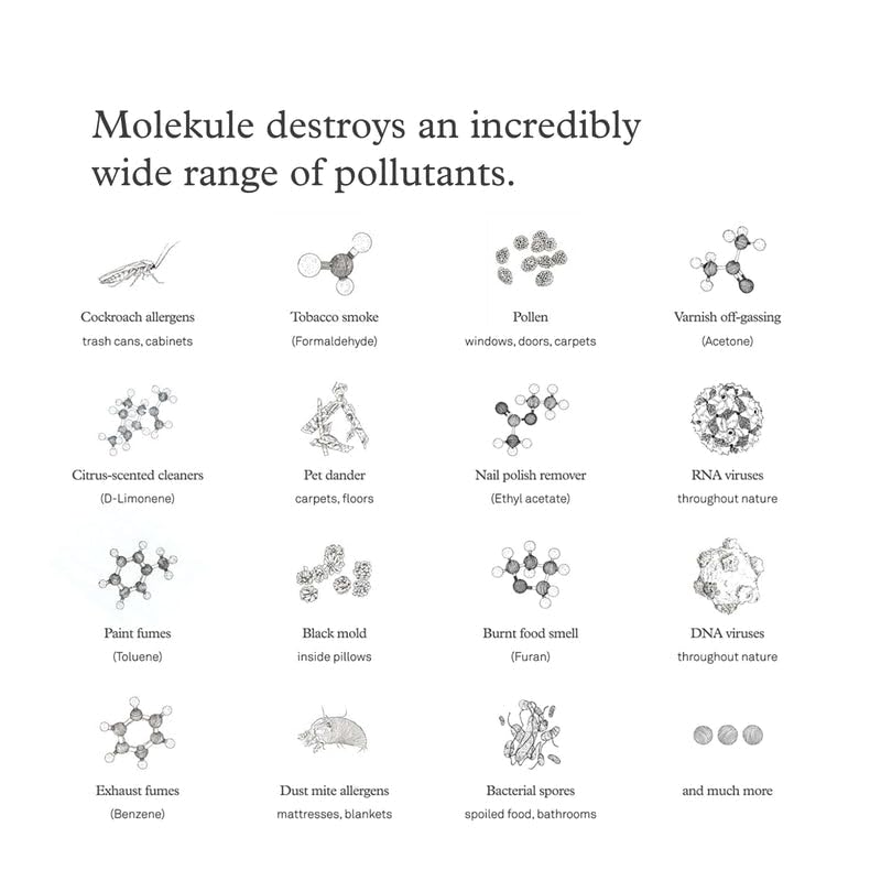 Six-month Molekule PECO-Filter life highlighting long-term performance.
