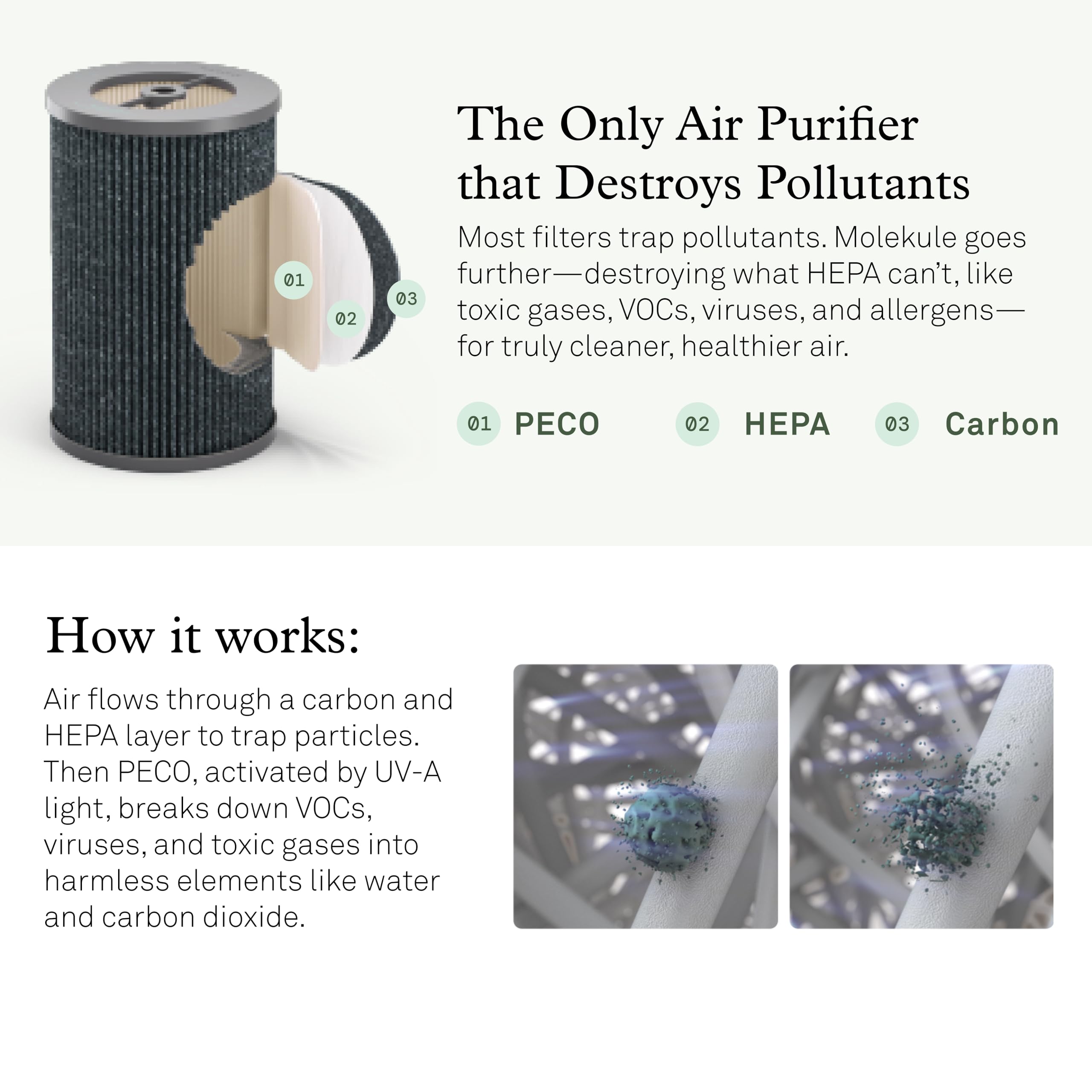 Molekule Air Pro installation with Tri-Power Filter enabling multi-layer purification.