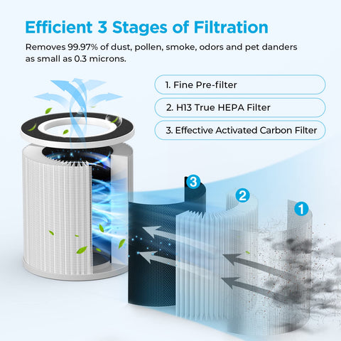 MOOKA B-D02L H13 true HEPA filter captures fine particles for a healthier room