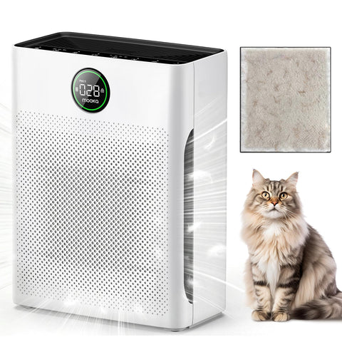 MOOKA PR1 front view shows a modern purifier designed for large rooms and easy placement