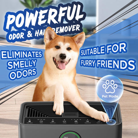 MOOKA PR1 with Pet Mode active targeting pet hair and odors