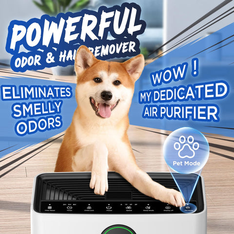 MOOKA PR1 pet mode highlights quicker purification of pet hair and odors