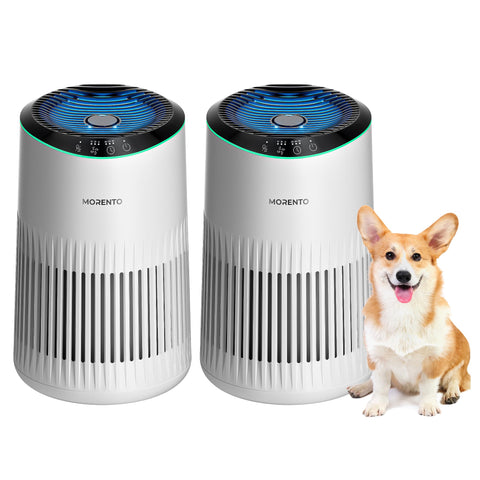 Morento air purifier bedroom 360-degree coverage for comprehensive purification.