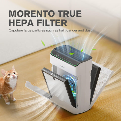 MORENTO two-pack filters offer extended, cost-effective air cleaning.