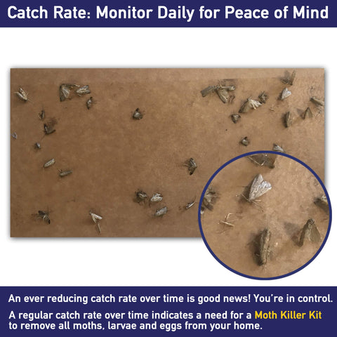 MothPrevention replacement strip for closets keeps clothes fresh during moth season