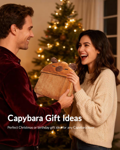 Moyel Capybara hoodie packaging shown as gift-ready