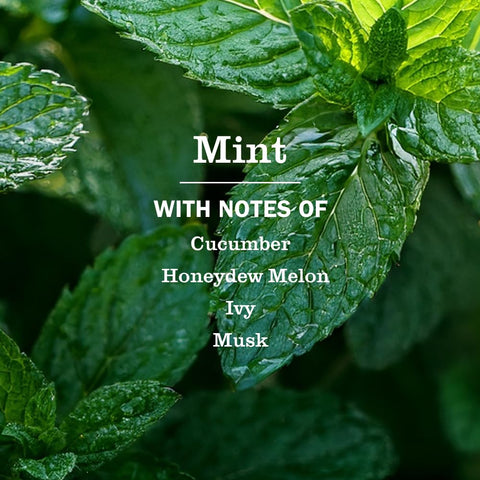 Mrs. Meyer's Clean Day Mint Room Spray in action for instant room refresh.