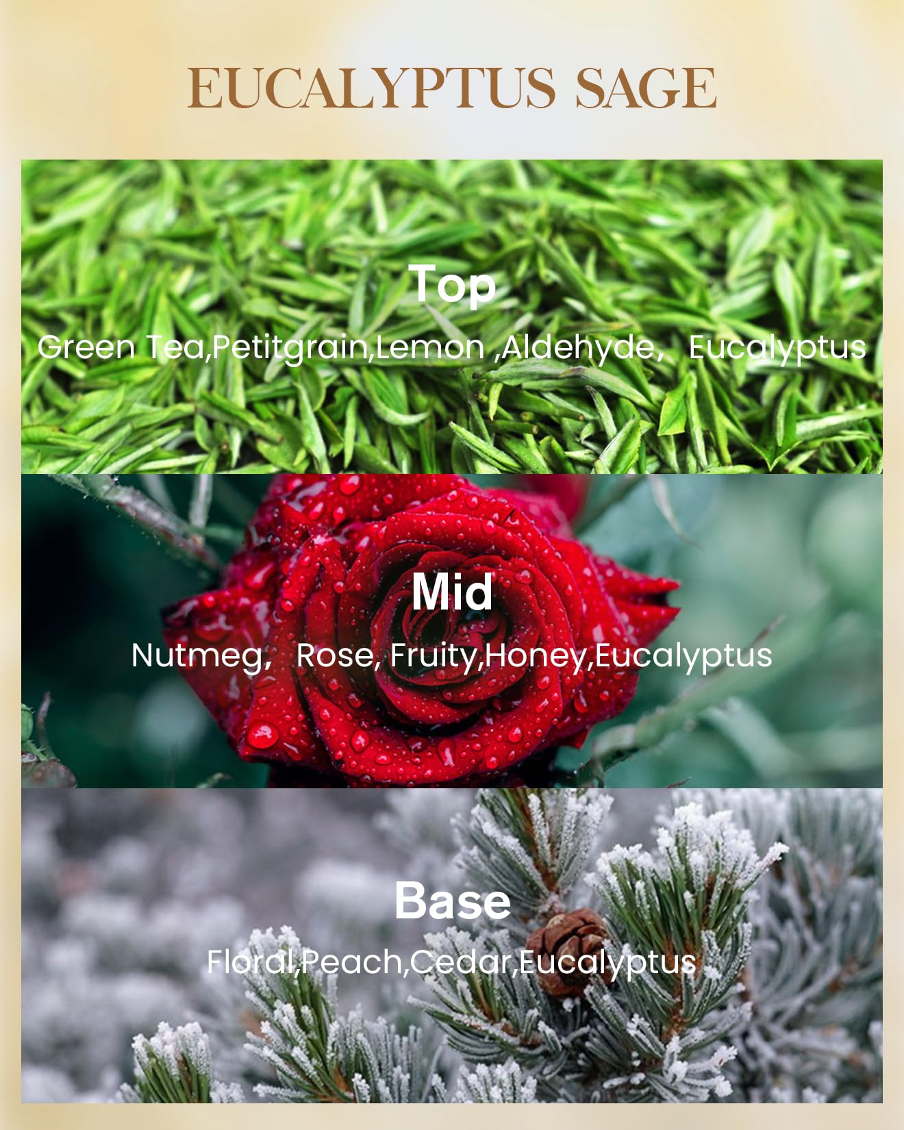 Msense Eucalyptus Sage 3-wick system delivering even burn and stronger scent throw.