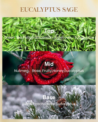 Msense Eucalyptus Sage 3-wick system delivering even burn and stronger scent throw.