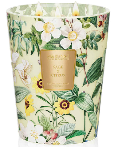 MSENSE Sage Citrus 3-wick candle with elegant jar for large rooms.