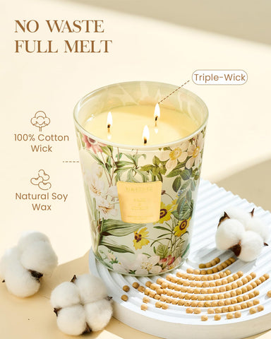 MSENSE Sage Citrus soy blend wax for longer burn and strong scent.