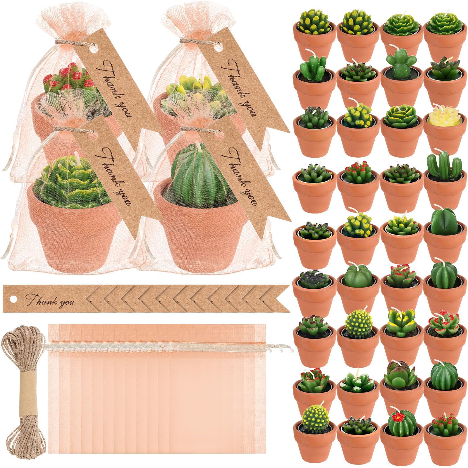 MTLEE succulent tealight candles set with packaging for gifting and decor