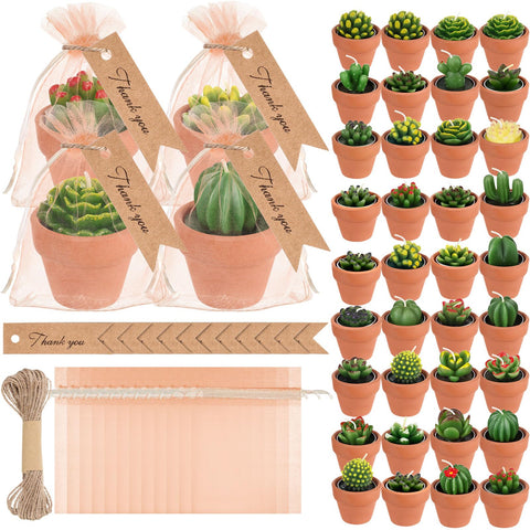 MTLEE succulent tealight candles set with packaging for gifting and decor