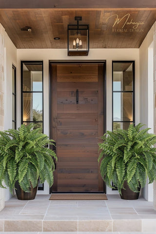 Muhanjia hanging fern outer view suitable for balconies and patios