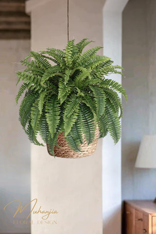 Muhanjia indoor-fern decor setup for living rooms or offices