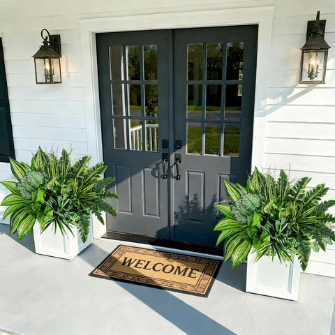 Mutcolor zero-maintenance outdoor plants ready for easy, water-free care.