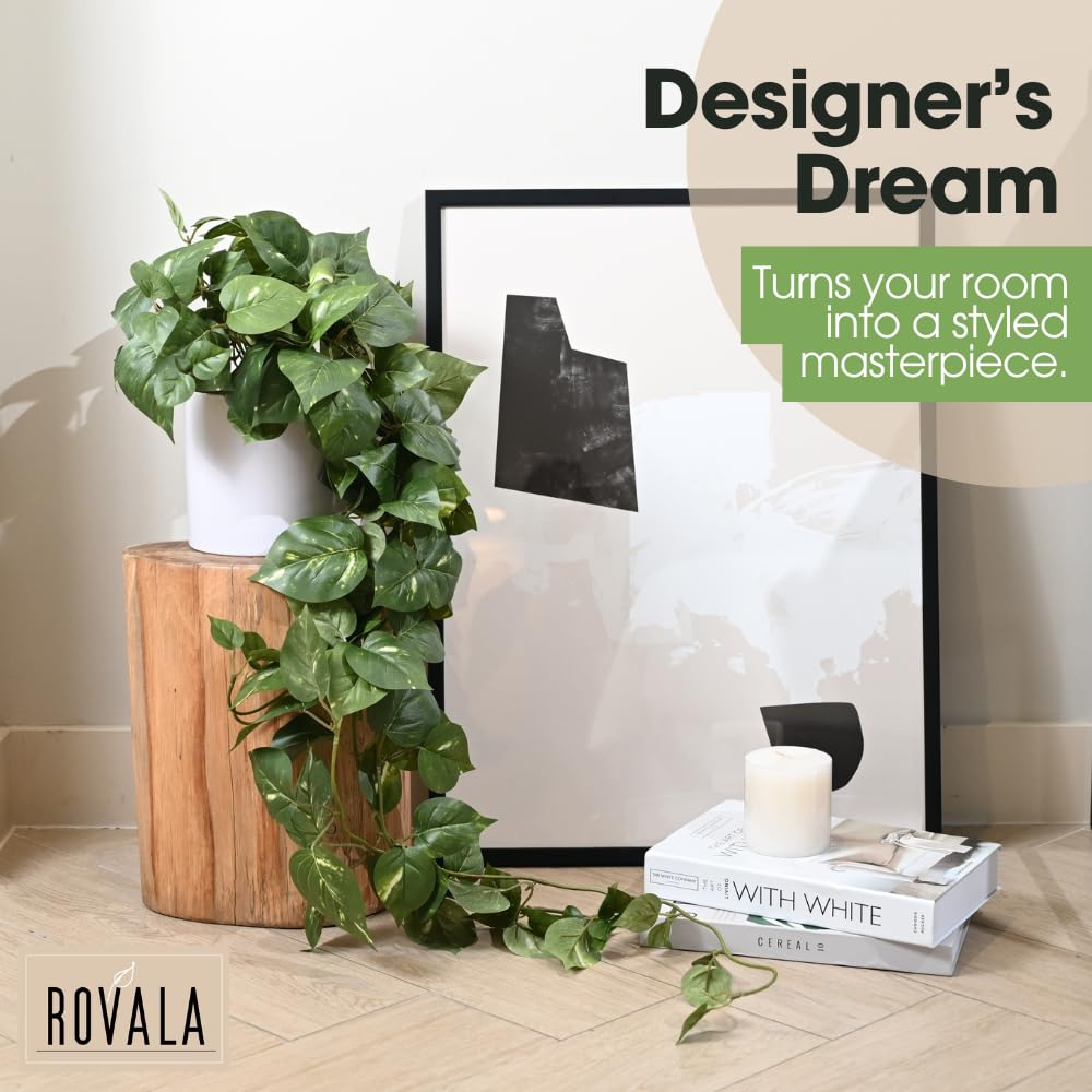 MY ROVALA ornamental plant suitable for bathrooms and kitchens