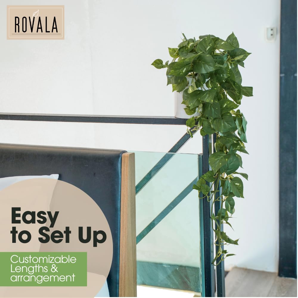 MY ROVALA dark green ivy adds lush focal points in rooms