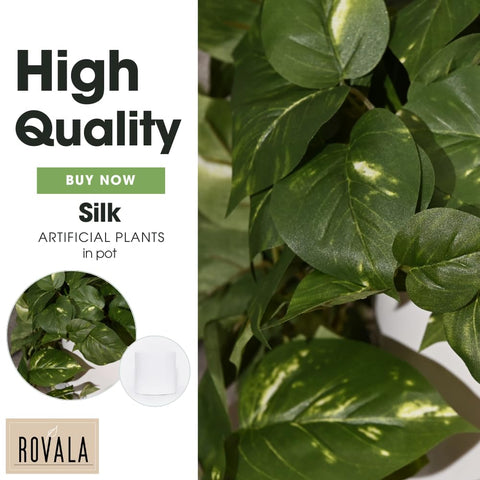 MY ROVALA hanging ivy setup creates elegant wall decor