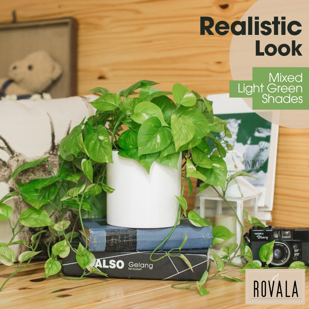 MY ROVALA hanging vine draping over a shelf for wall display